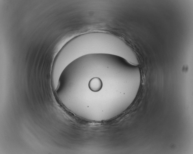 X0000112830052200909181659