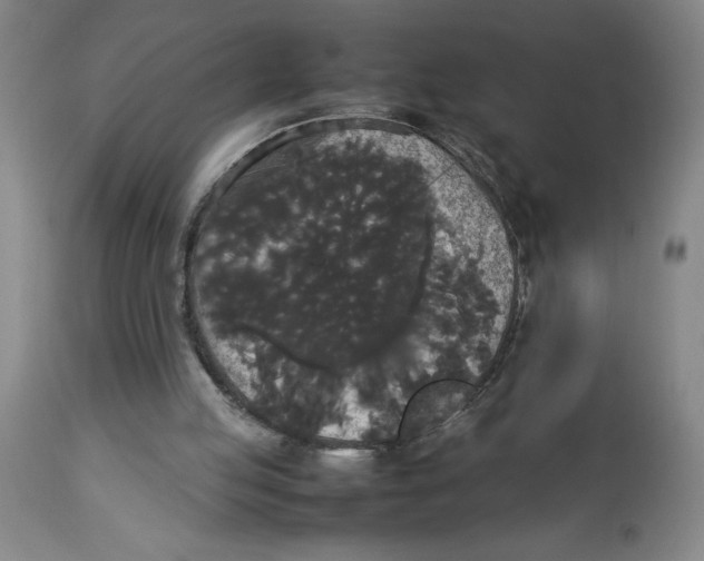 X0000112830053200909181659