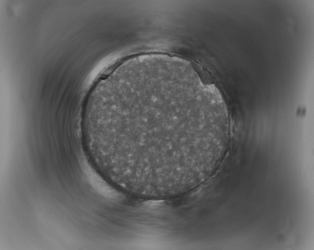 X0000112830054200909181659