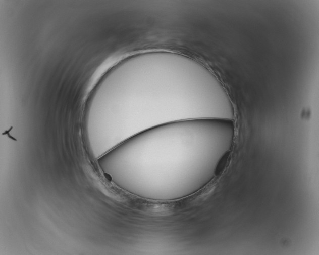 X0000112830056200909181659