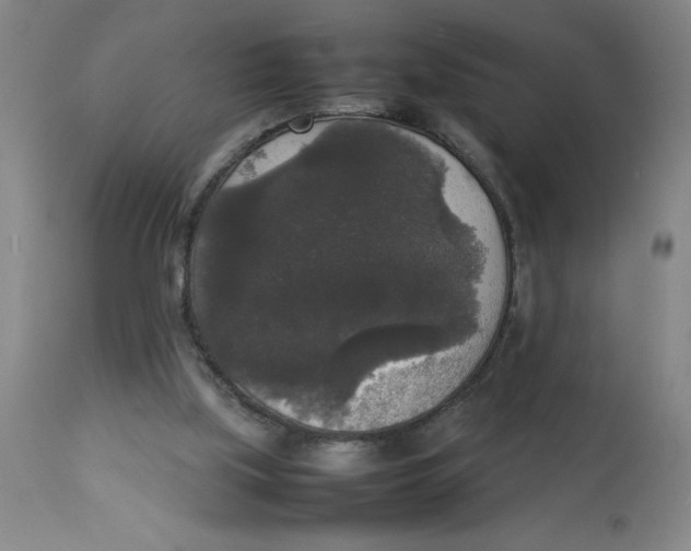 X0000112830059200909181659