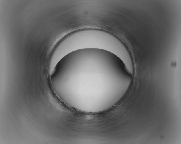 X0000112830060200909181659