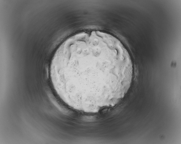 X0000112830061200909181659