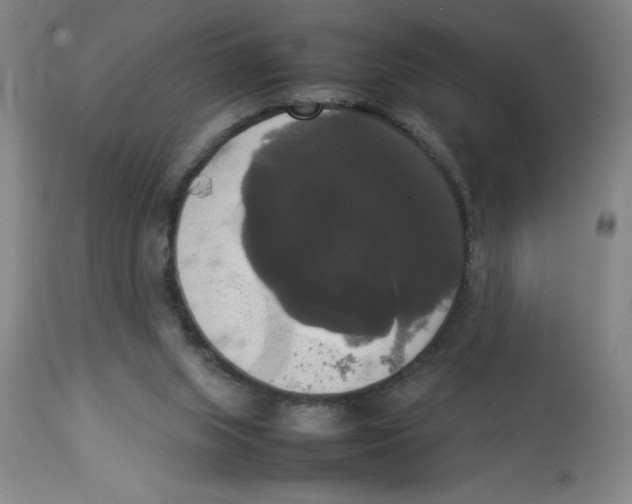 X0000112830063200909181659