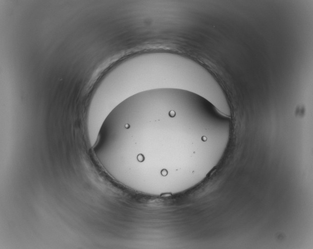 X0000112830064200909181659