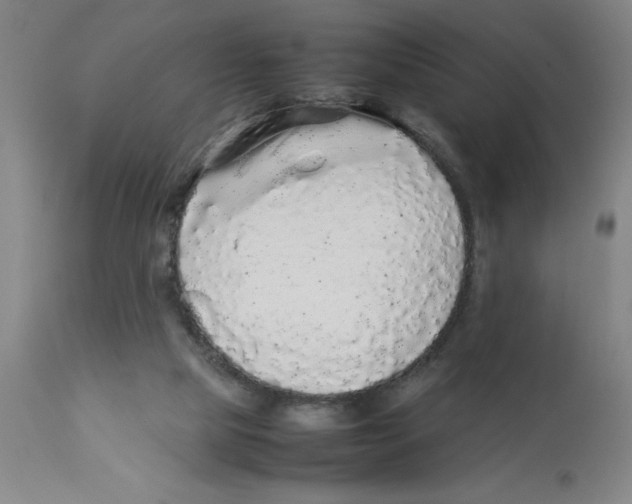 X0000112830065200909181659