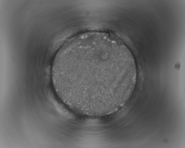 X0000112830066200909181659