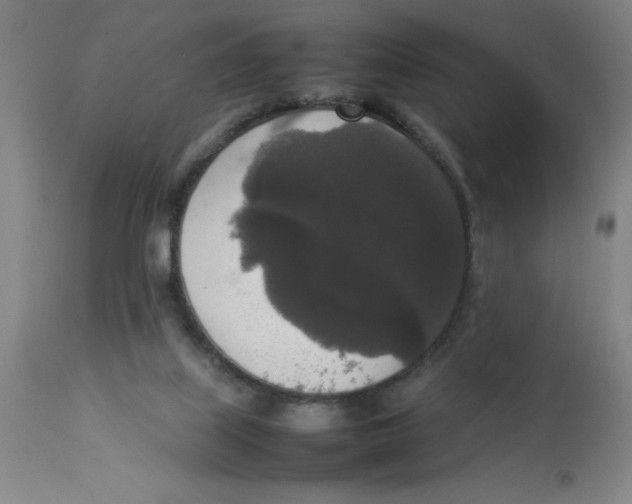 X0000112830067200909181659