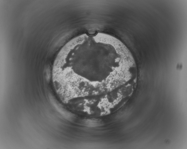 X0000112830069200909181659