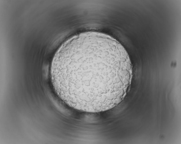 X0000112830070200909181659