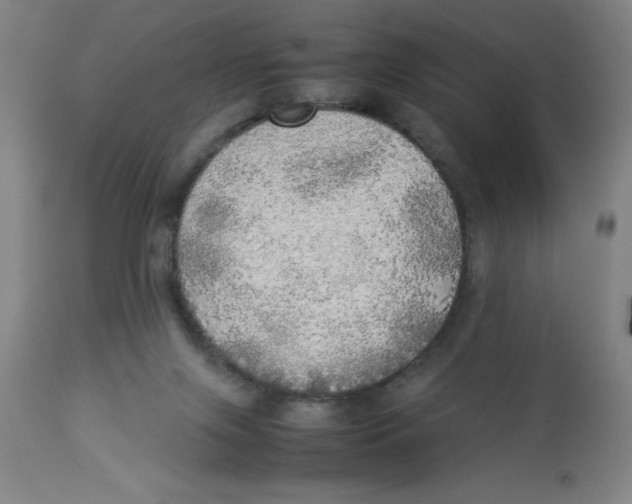 X0000112830071200909181659