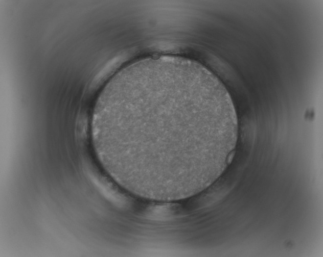 X0000112830072200909181659