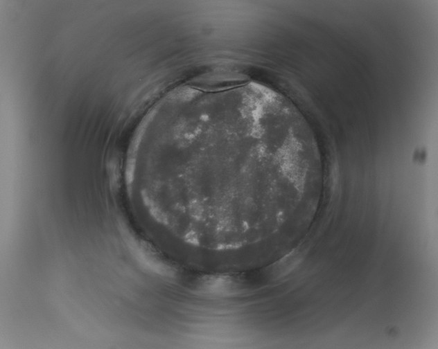 X0000112830074200909181659