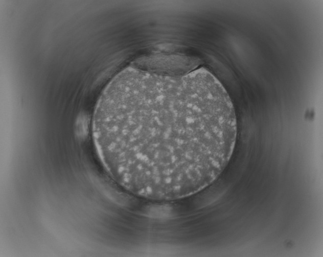 X0000112830075200909181659