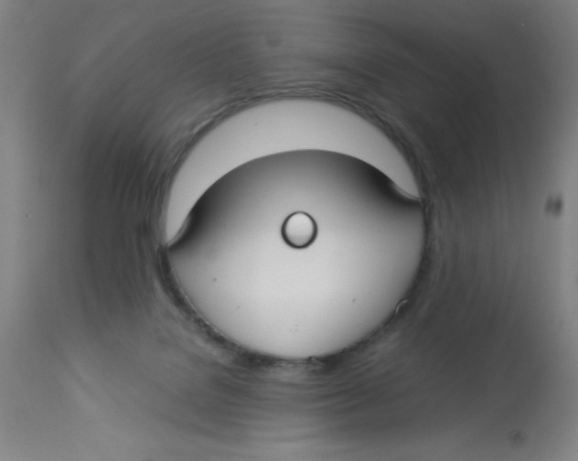 X0000112830076200909181659