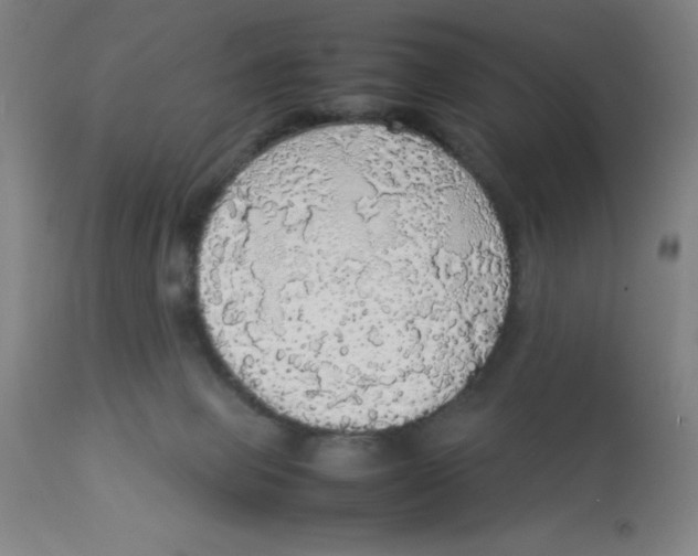 X0000112830077200909181659