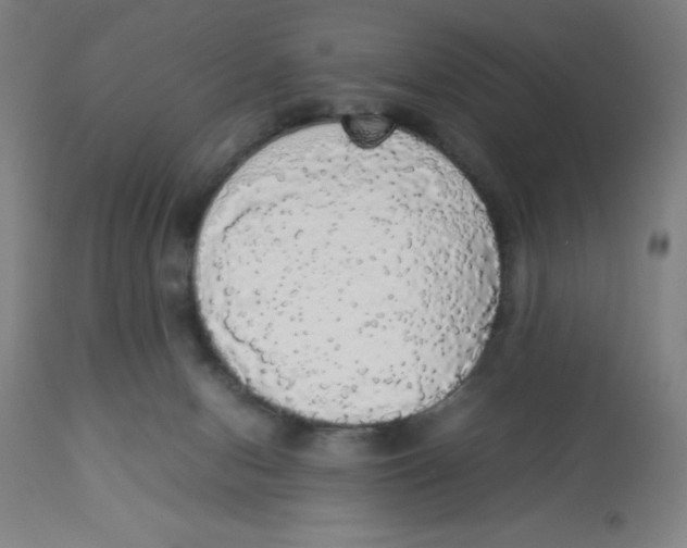 X0000112830078200909181659