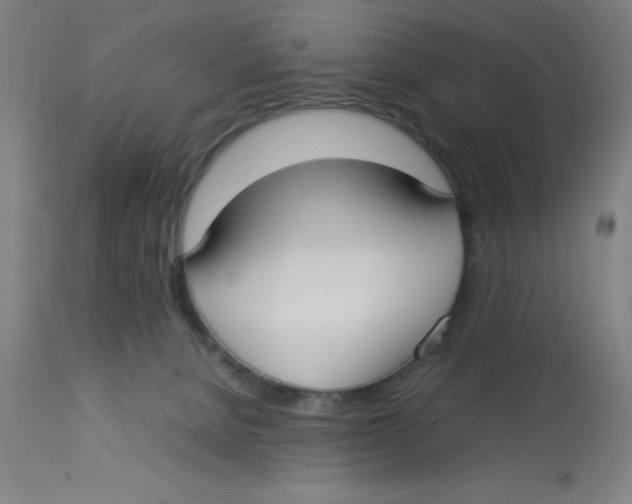 X0000112830080200909181659