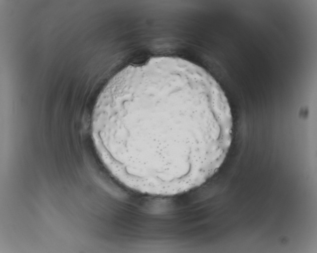 X0000112830081200909181659