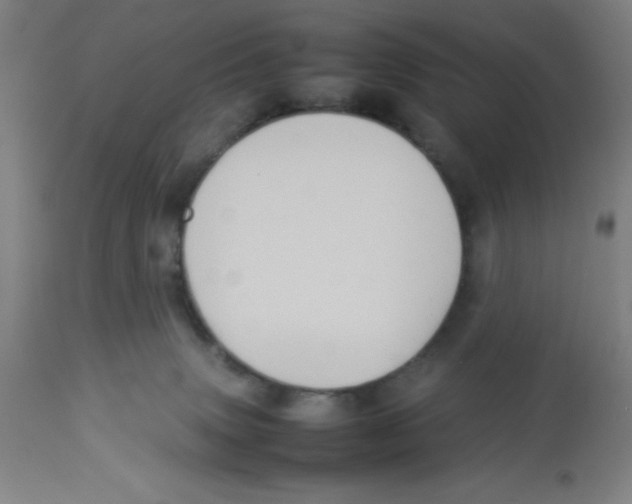 X0000112830083200909181659