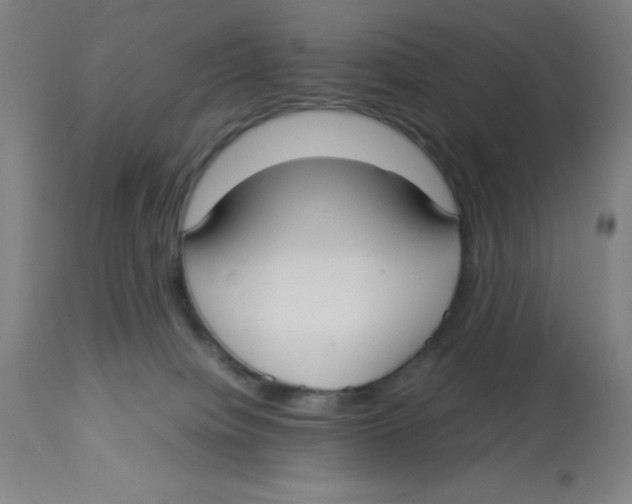 X0000112830084200909181659