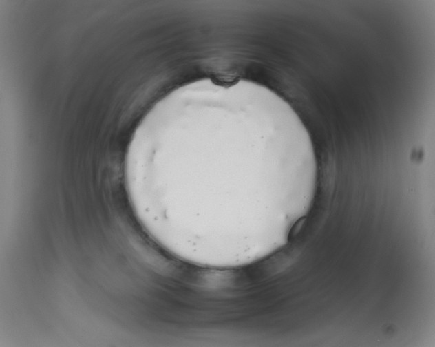 X0000112830085200909181659