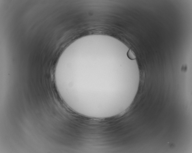 X0000112830086200909181659