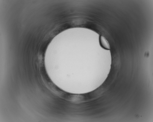 X0000112830087200909181700