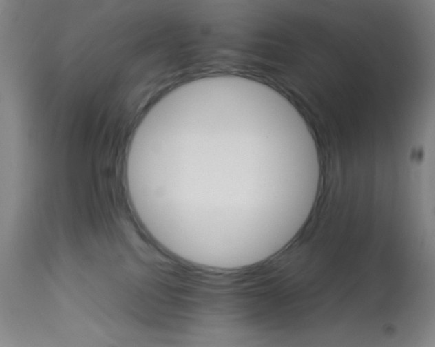 X0000112830088200909181700