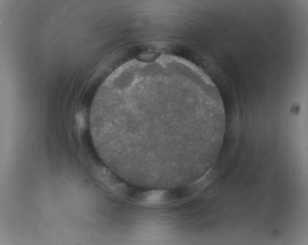 X0000112830090200909181700