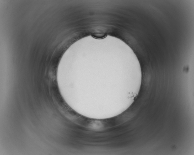 X0000112830091200909181700