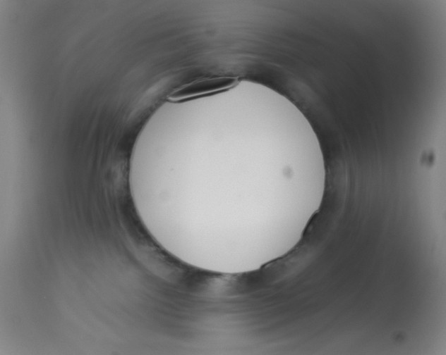 X0000112830092200909181700