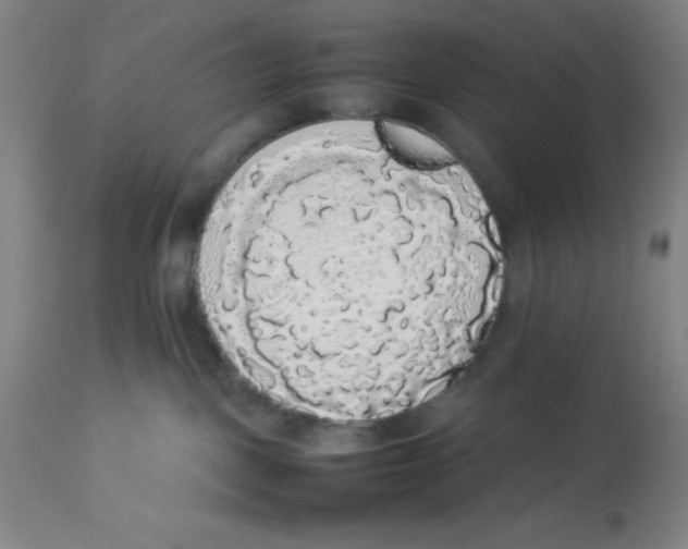 X0000112830093200909181700