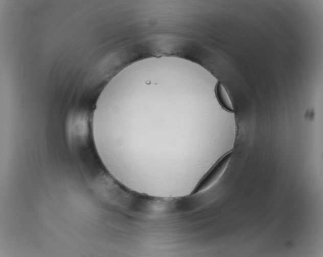 X0000112830094200909181700