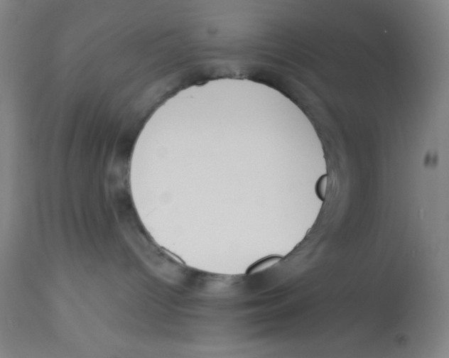 X0000112830096200909181700