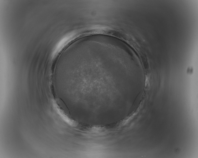 X0000112830101200909181659