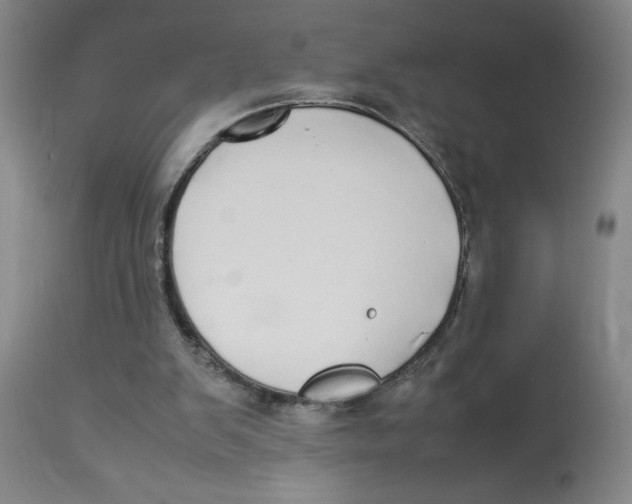 X0000112830103200909181659