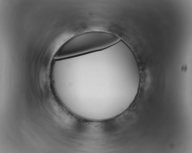 X0000112830104200909181659