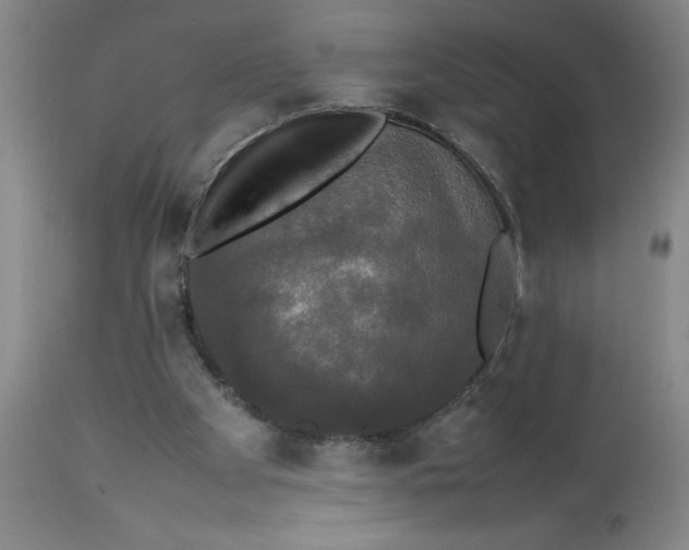 X0000112830105200909181659