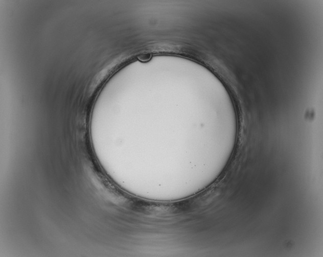 X0000112830107200909181659