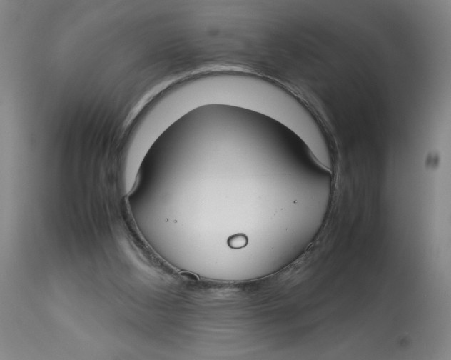 X0000112830108200909181659