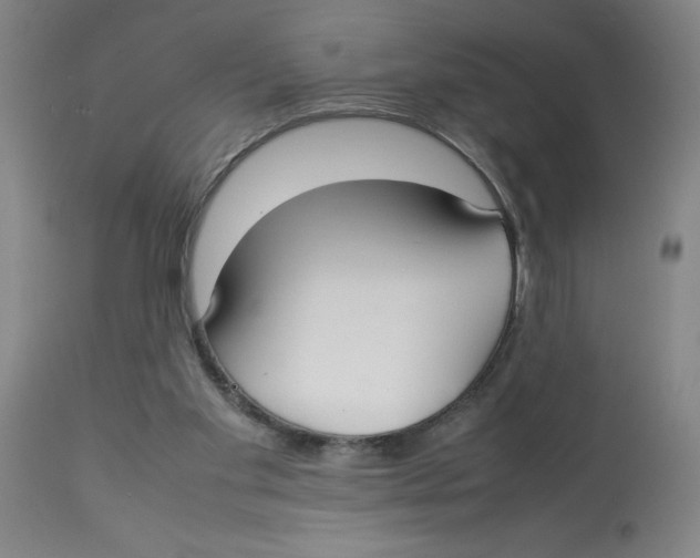 X0000112830109200909181659