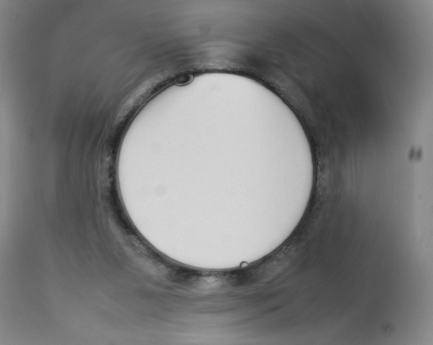 X0000112830111200909181659