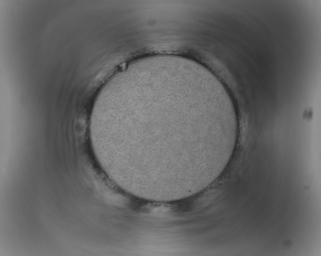 X0000112830113200909181659