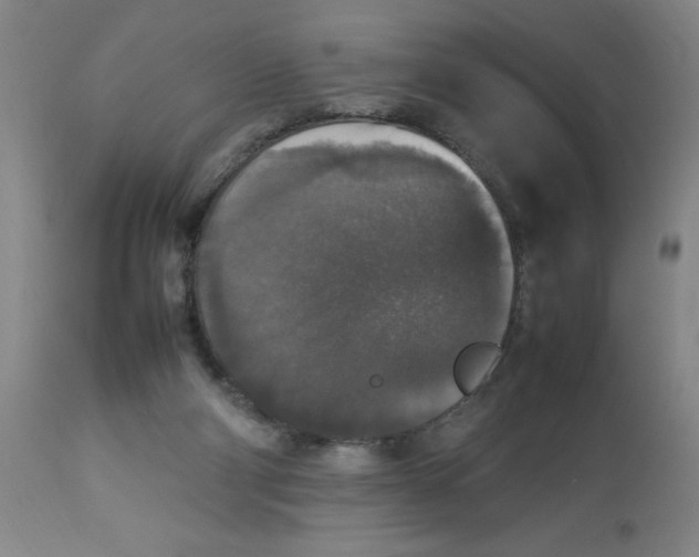 X0000112830114200909181659