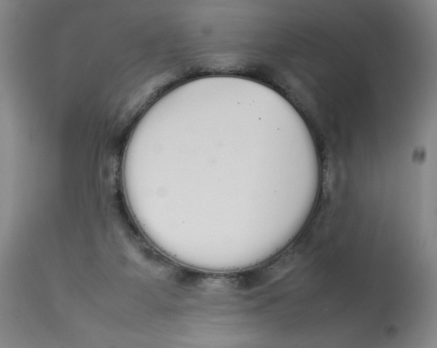 X0000112830115200909181659