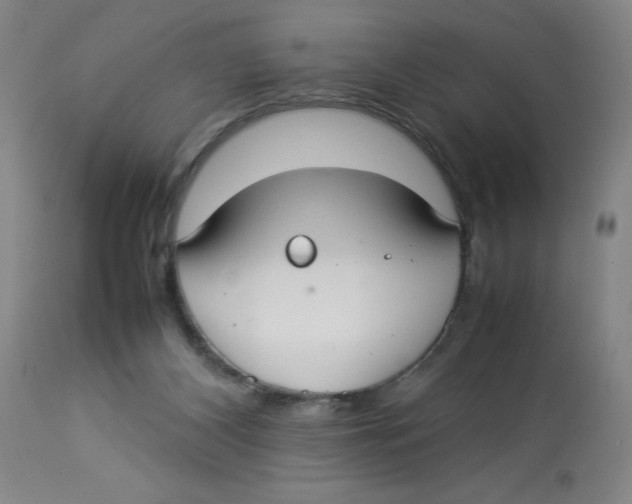 X0000112830116200909181659