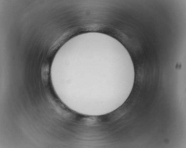 X0000112830118200909181659