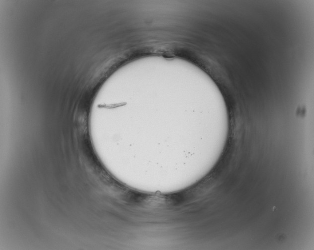 X0000112830123200909181658