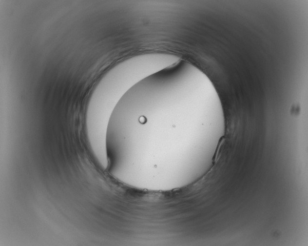 X0000112830124200909181658